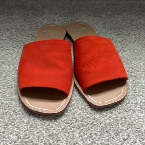 Gianni Bini Slides